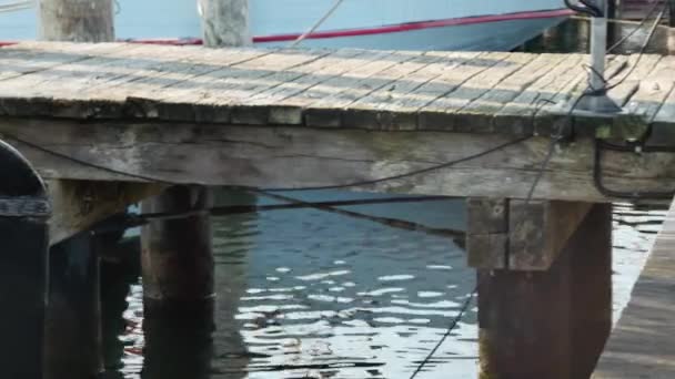 Balanciertes Ruder Eines Festgemachten Schiffes Der Nähe Der Seebrücke Nahaufnahme — Stockvideo