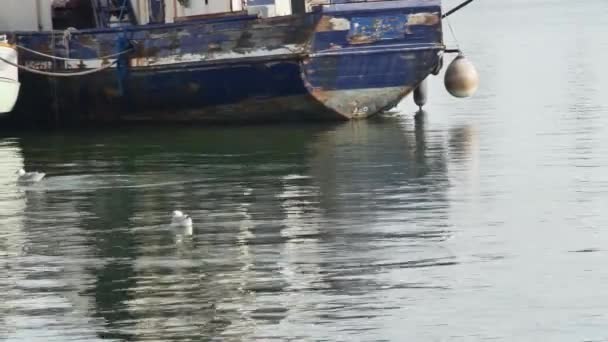 Vista Lateral Barco Oxidado Abandonado Puerto — Vídeo de stock