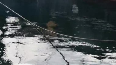 Limandaki deniz suyu üzerinde tırmanma halatı