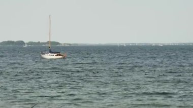 Dalgalar bir yerde sallanıyor, denizde bir yelkenli, geçen ördeklerin yanında.