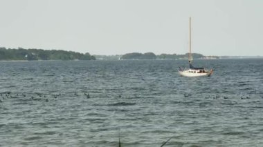 Dalgalar bir yerde sallanıyor, bir yelkenli de geçen ördeklerin yanında.