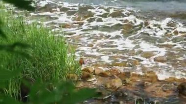 Küçük deniz dalgaları kahverengi taşlara çarpıyor, yaz mevsiminde