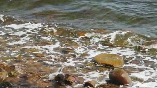 Small Sea Waves Hitting Brown Stones Slow Motion — Stock Video