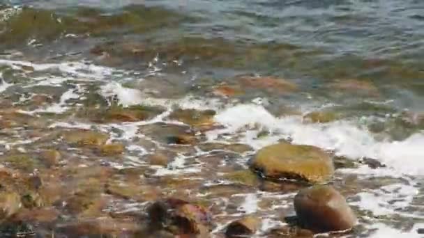 Malé Mořské Vlny Narážející Hnědé Kameny — Stock video
