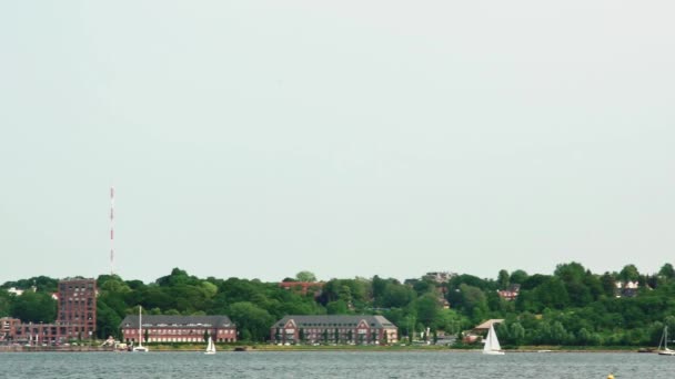 Flensburg Almanya Temmuz 2023 Karşıt Kıyılar Ağaçlar Bir Deniz Okulu — Stok video