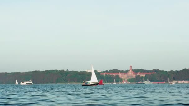 Flensburg Almanya Eylül 2023 Bir Yolcu Gemisi Yelkenli Tekneleri Bir — Stok video