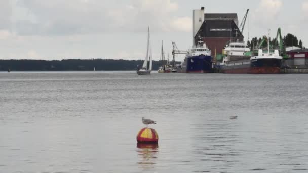 Flensburg Niemcy Września 2023 Statki Zacumowane Porcie Spokojnym Morzu — Wideo stockowe