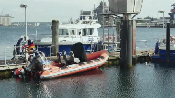 フレンズバーグ ドイツ 2023年7月27日 港の動かされた警察ゴム製モーター ボート — ストック動画