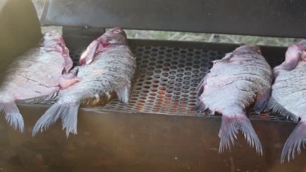 Sigara Içmek Için Yapımı Izgaraya Balık Ekler — Stok video
