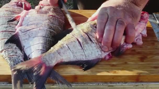 Una Mano Con Cuchillo Hace Cortes Pescado Para Fumar — Vídeo de stock
