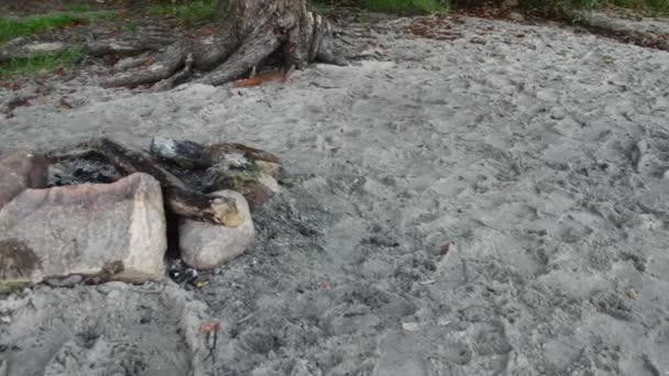 海滩上的一个用大石头做的地方 用于在火上做饭 — 图库视频影像