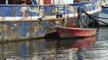 Paslı bir geminin kenarına bağlanmış kırmızı bir teknenin yanından geçen bir yaban ördeği.