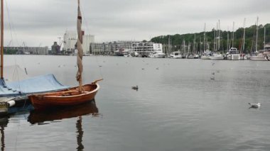  Flensburg, Almanya - 29 Temmuz 2023. Yüzen martılarla dolu limanı ve zıt kıyıları görüyorum. Ağaçların ve binaların zemininde demirli yatlar var.