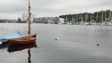 Flensburg, Almanya - 29 Temmuz 2023. Yüzen martılarla dolu liman manzarası ve demirli yatlarla zıt kıyılar.