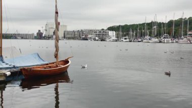  Flensburg, Almanya - 29 Temmuz 2023. Yüzen martılarla dolu limanı ve ağır çekimde demirli yatlarla zıt kıyıları görüyorum.