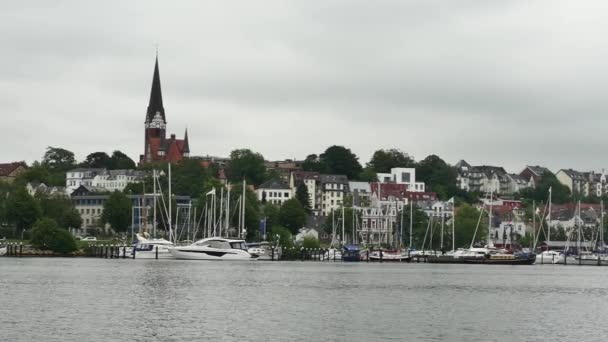 Flensburg Duitsland Juli 2023 Zomer Wal Tegen Achtergrond Van Afgemeerde — Stockvideo