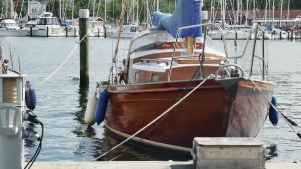 Flensburg Germania Luglio 2023 Primo Piano Della Prua Uno Yacht — Video Stock