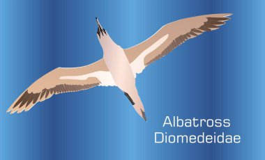 Albatross on abstract Background - Illustration, Albatross With Spread Wings clipart