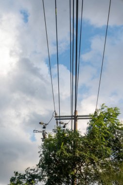 Meksika 'da elektrik kabloları, mavi gökyüzü ve beyaz bulutların altında.