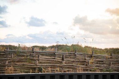 Wicker fence of branches. A fence to protect the dunes.