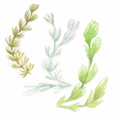 Koi fish Japanese garden pond stones lantern gate red rock garde