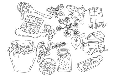 Bal arısı kavanozu. Arı kovanı grafik çizim eli. Beyaz arkaplan çizimine ayrı ayrı çizilmiş.