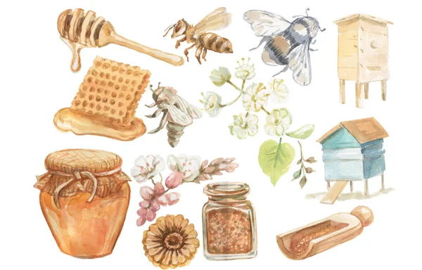 Med Včela Vosa Vosa Sklenice Včelí Grafické Ilustrace Ručně Kreslené — Stock fotografie