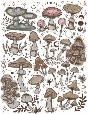 Mantarlar mistik büyülü grafikler ay yıldızlarının el çizimleri tarot sezgileri tarot mantarları zehirlemeler arka plan etiketlerini renklendirir