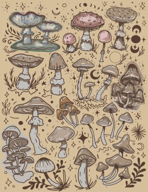 Mantarlar mistik büyülü grafikler ay yıldızlarının el çizimleri tarot sezgileri tarot mantarları zehirlemeler arka plan etiketlerini renklendirir