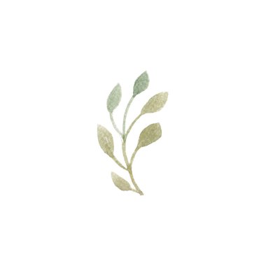 Güvercin kuşları elle çizilmiş suluboya parktaki hayvanların tüyleri kanat çevresi