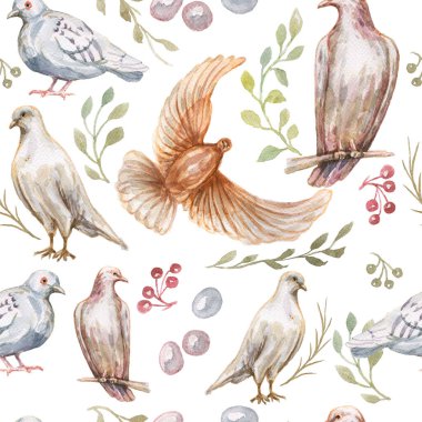 Güvercin kuşları elle çizilmiş suluboya parktaki hayvanların tüyleri kanat çevresi