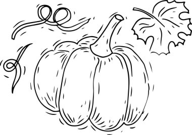 Sonbahar Cadılar Bayramı 'nda çizilen grafikler balkabakları, yarasalar, beyaz arka plan üzerine antistresi renklendiren örümcek şatosu ve kedi figürleri.