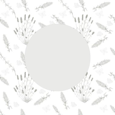 Lavanta çiçekleri bitkiler güzel kokulu bitkiler kelebekler mor çiçekler yaz botaniği