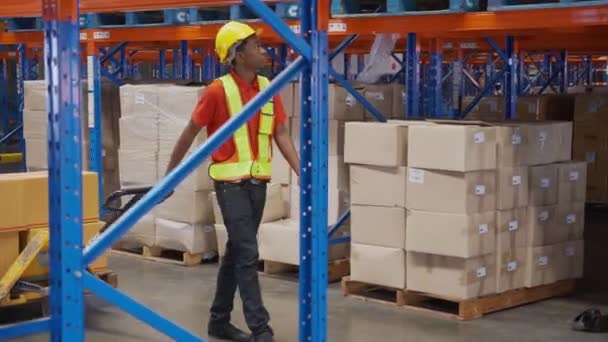 Young Man Pull Move Cargo Transportation Distribution Warehouse Factory Worker — Vídeo de stock