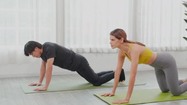 Jonge Vrouw Aziatische Man Oefenen Workout Met Poserende Plank Terwijl — Stockvideo