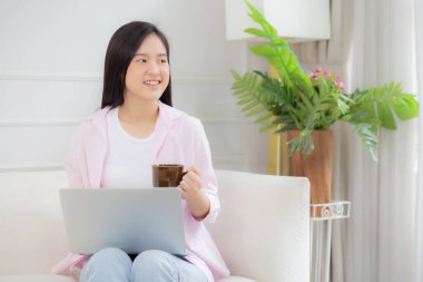 Genç Asyalı iş kadını evde dizüstü bilgisayarla çalışıyor ve oturma odasındaki kanepede kahve içiyor, serbest çalışan kız dizüstü bilgisayarını kullanıyor rahat ve rahat bir şekilde kanepede oturuyor..