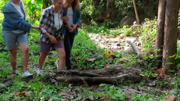 Teenager Mädchen Und Zwei Großmütter Unterwegs Reise Den Wald Und — Stockvideo
