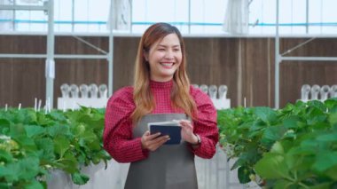 Girişimci genç Asyalı kadın tarım çileğini tarımsal serada dijital tabletle araştırma için mutluluk ile kontrol et, çileği tarımla inceleyen kadın, küçük işletme konsepti.