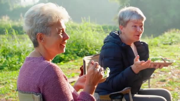 Two Senior Woman Teenager Talking Leisure Camping Activity Recreation Leisure — Vídeos de Stock