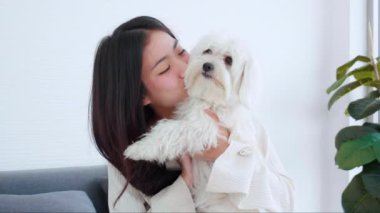Genç Asyalı bir kadın, evinde sevgi dolu tüylü köpek shih tzu 'yu kucaklar ve öper. Arkadaşları, yoldaşlarıyla oynaşır ve hayvanlarla oynaşır. Rahatlamak için hayvanlarla oynaşır..