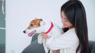 Genç Asyalı bir kadın evdeki oturma odasında köpeğini kucağına alıp öpüyor. Arkadaşlarıyla oynaşıyor, oynaşıyor ve rahatlamak için hayvanla sarılıyor..