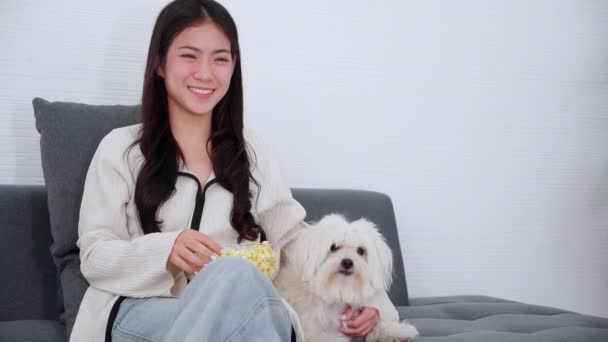 Όμορφη Νεαρή Ασιατική Γυναίκα Και Σκυλί Κάθεται Στον Καναπέ Βλέποντας — Αρχείο Βίντεο