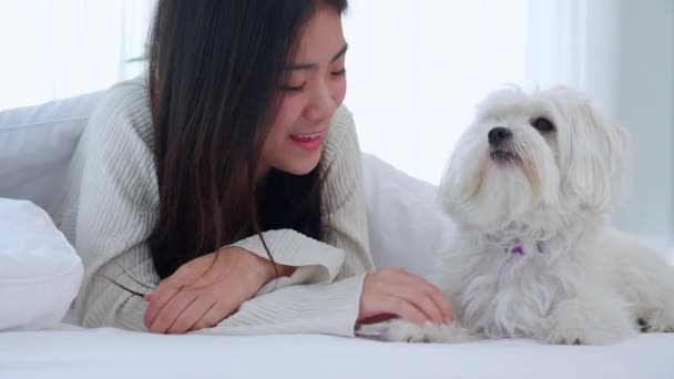 Vacker Ung Asiatisk Kvinna Lekfull Med Fluffig Hund Shih Tzu — Stockvideo