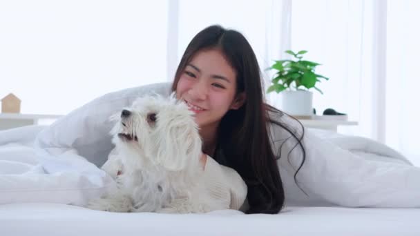 Piękny Młody Azjatycki Kobieta Pocałunek Puszysty Pies Shih Tzu Relaks — Wideo stockowe