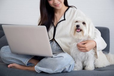 Yakın plan Asyalı genç bir kadın dizüstü bilgisayarla internete bağlanıp ev arkadaşı köpekle rahat bir şekilde evdeki oturma odasında oturuyor evcil hayvan ve yaşam tarzı konseptiyle boş vakit geçiriyor..