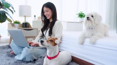 Genç Asyalı güzel bir kadın dizüstü bilgisayarla internetten internete otururken gülümsüyor. Yatak odasında refakatçi köpekle sohbet ederken. Evcil hayvan ve yaşam tarzıyla defter kullanırken..