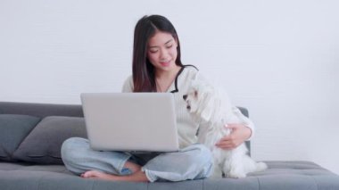 Güzel Asyalı kadın gülümsüyor dizüstü bilgisayarla internetten internete çalışırken evdeki yoldaş köpekle samimi bir şekilde evcil hayvan ve yaşam tarzı konseptiyle meşgul olan bir kadın..