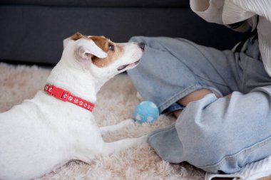 Kapalı kapılar ardında genç Asyalı bir kadın köpekle oynaşıyor. Evdeki aşkla rahatlamak için evdeki evde, arkadaşlarıyla oynaşıyor. Eşlik ediyor..