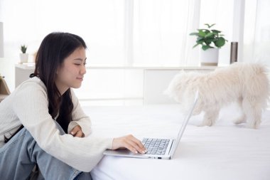 Genç Asyalı güzel bir kadın dizüstü bilgisayarla internetten internete otururken gülümsüyor. Yatak odasında refakatçi köpekle sohbet ederken. Evcil hayvan ve yaşam tarzıyla defter kullanırken..
