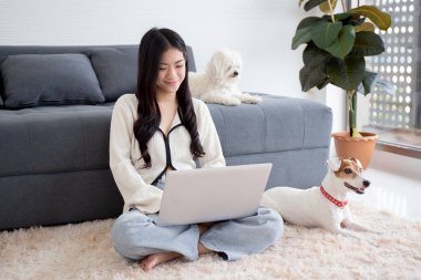 Güzel Asyalı kadın gülümsüyor dizüstü bilgisayarla internetten internete çalışırken evdeki yoldaş köpekle samimi bir şekilde evcil hayvan ve yaşam tarzı konseptiyle meşgul olan bir kadın..